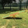 PawHut Wooden Dog Agility Seesaw, Training and Exercise Equipment, Weather Resistant, 71" L, Natural