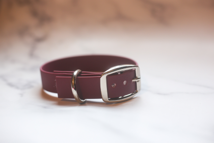 Biothane Buckle Dog Collar (Color: lavender, size: XL/XXL 18-20 inches)
