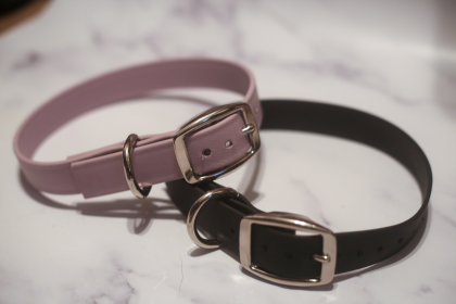 Biothane Buckle Dog Collar (Color: lavender, size: Small 11-13 inches)