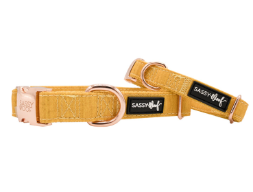 Collar (Color: Yellow, size: medium)