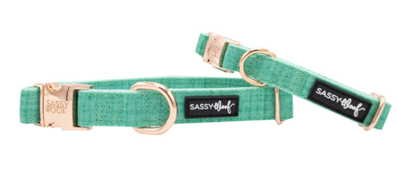 Collar (Color: Teal, size: small)