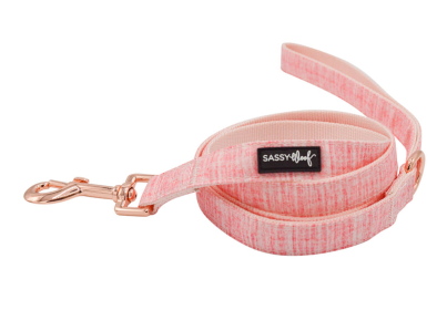 Leash (Color: Pink, size: One size)
