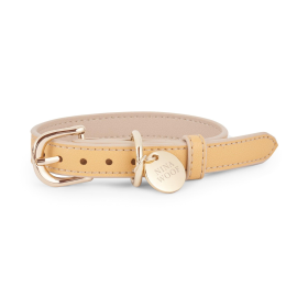 Copenhagen Dog Collar (size: medium)