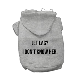 The Jet Lag Diva Hoodie (Color: Gray, size: small)