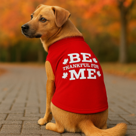 Be Thankful for Me Classic Tee (size: L)