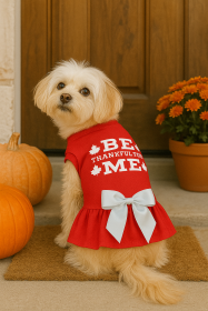 Be Thankful for Me Harvest Ruffle Dress (size: L)