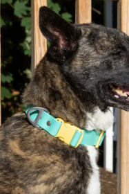 Island Vibes Waterproof Dog Collar (size: 15 - 17 inch)
