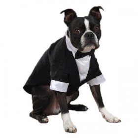 East Side Coll Yappily Ever After Groom Tux (Color: White, size: XXsmall)